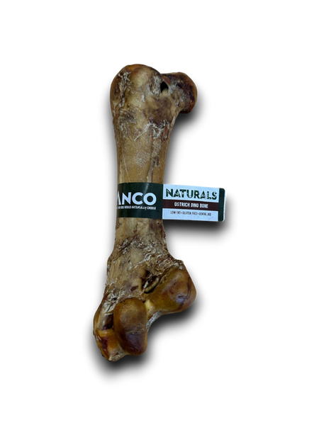 Ostrich Dino Bone