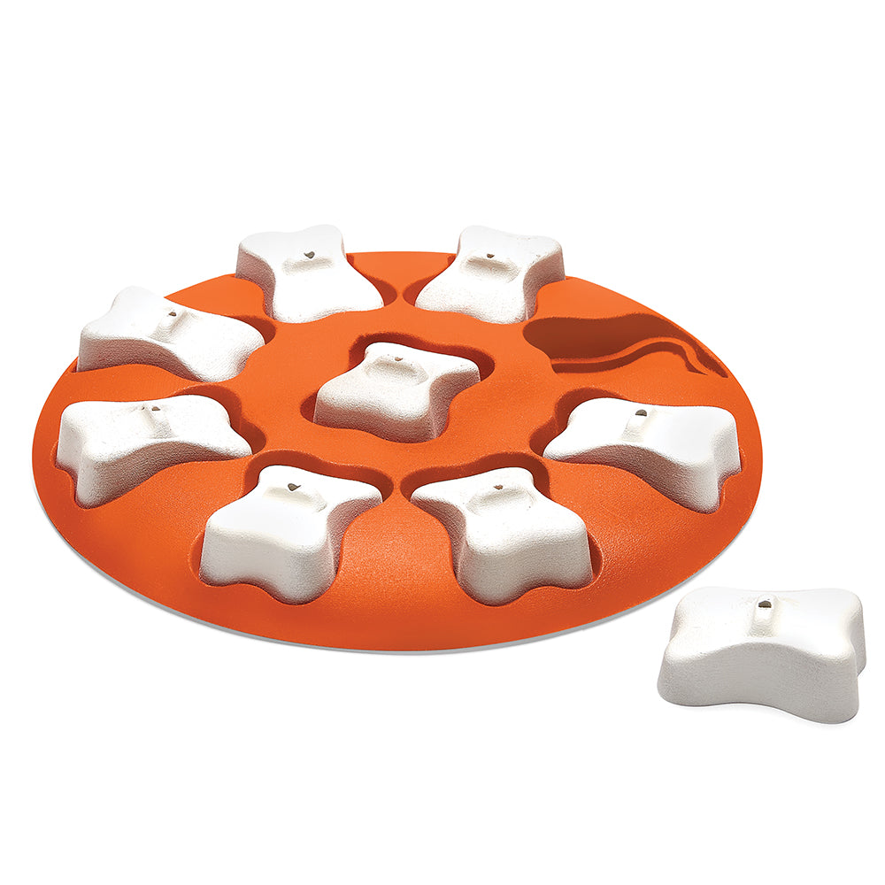Nina Ottosson Dog Smart Puzzle Game