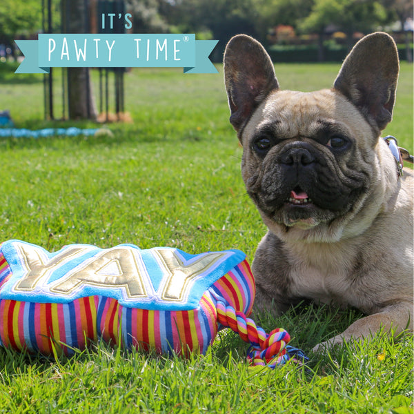 Ancol Pawty YAY Tugger Toy