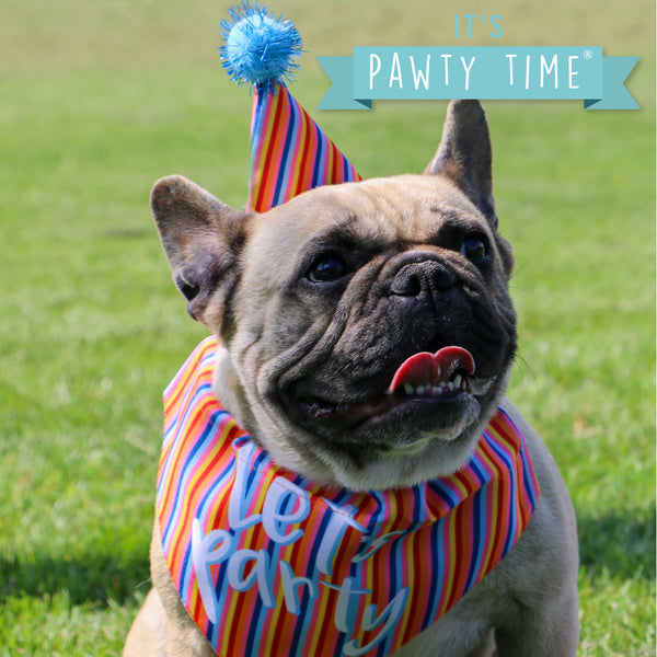 Ancol Pawty Stripe Hat & Bandana Set