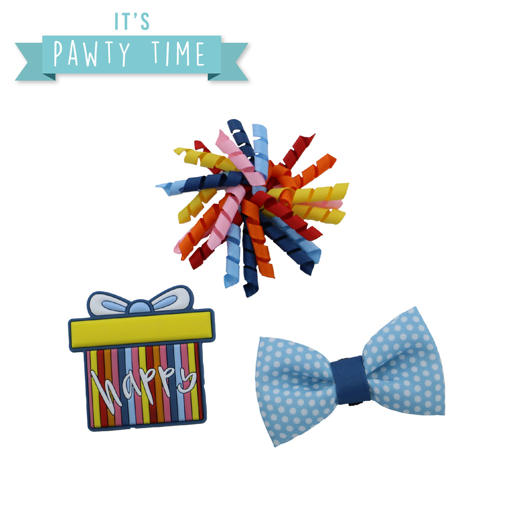 Ancol Pawty Stripe Accessory Set