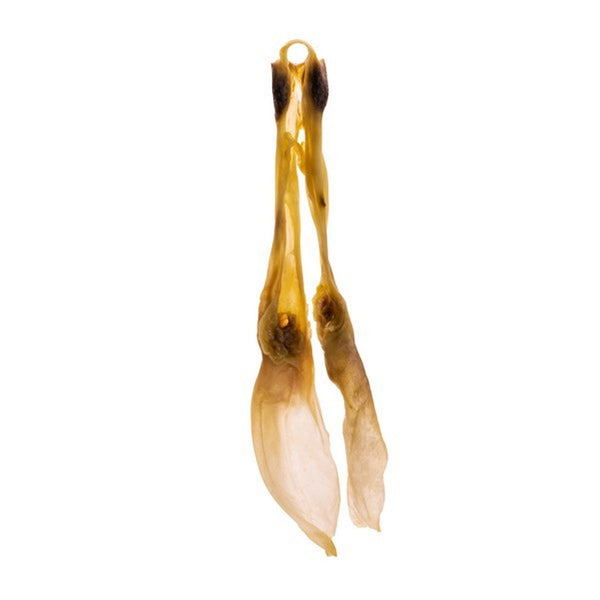 Air Dried Rabbit Ear