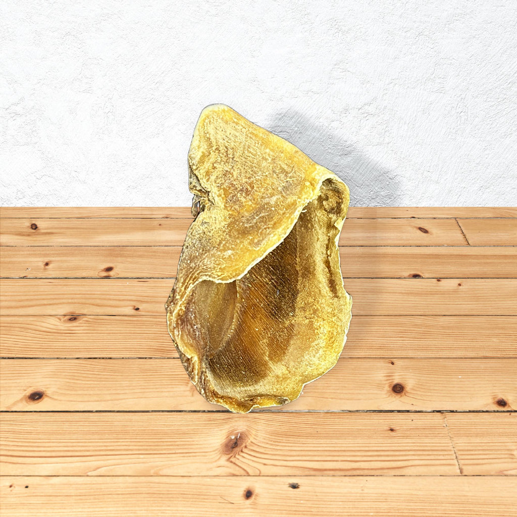 Hollow Cows Hoof
