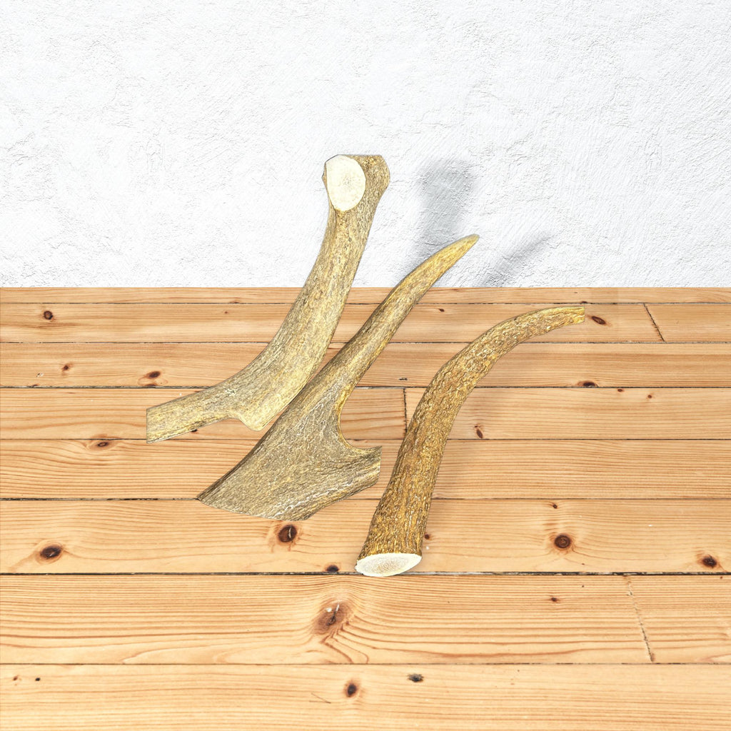 Whole Antler Chews