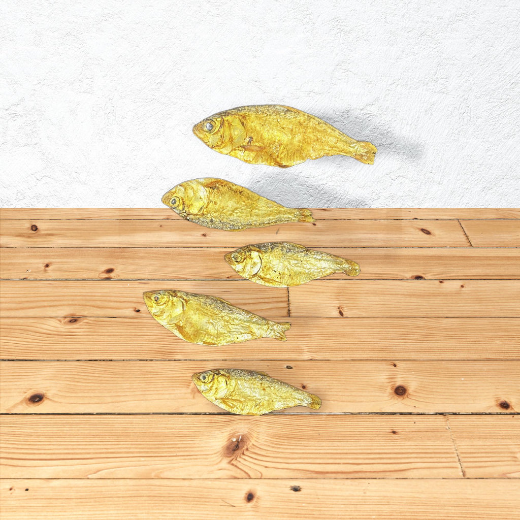 Sardines