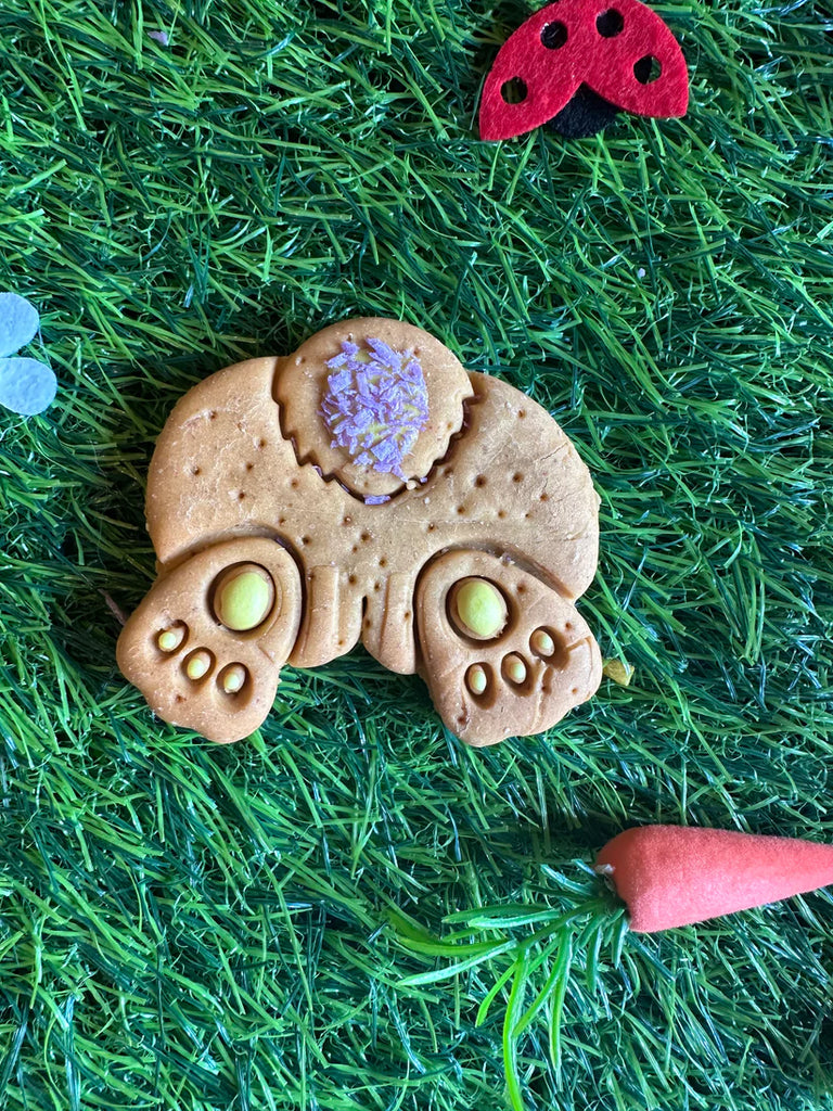 Bunny Bum Grain Free Biscuit