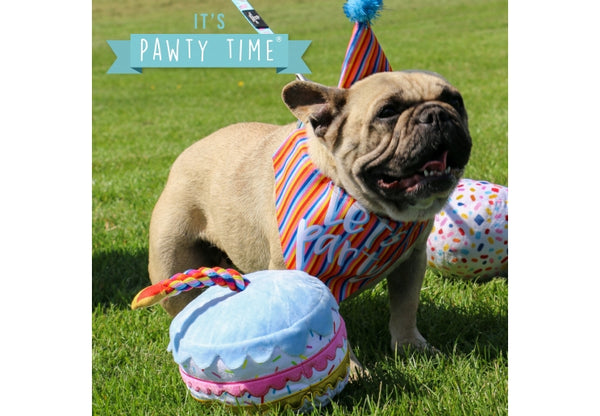 Ancol Pawty Sprinkle Cake Toy