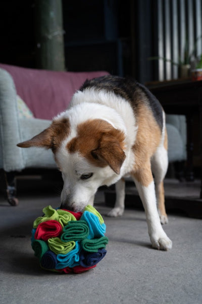 PetFace Fabric Snuffle Treat Ball