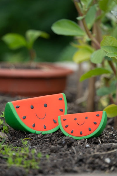 PetFace Foodie Faces - Water Melon Latex Toy