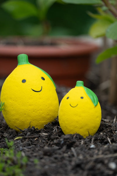 PetFace Foodie Faces - Lemon Latex Toy
