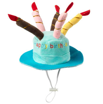 House of Paws Blue Birthday Hat