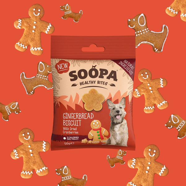 Soopa Gingerbread Biscuit Health Bites Wags & Whiskers Pet Boutique