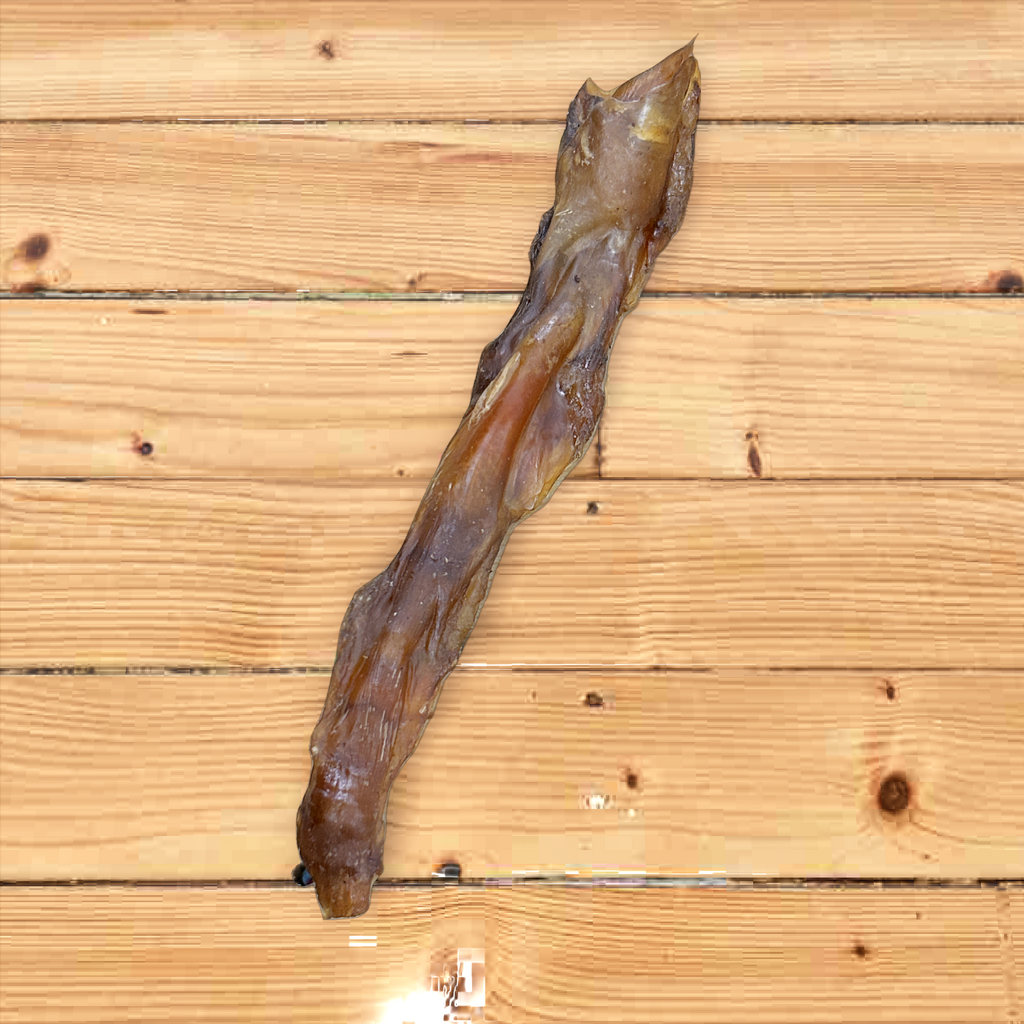 Ostrich Tendon