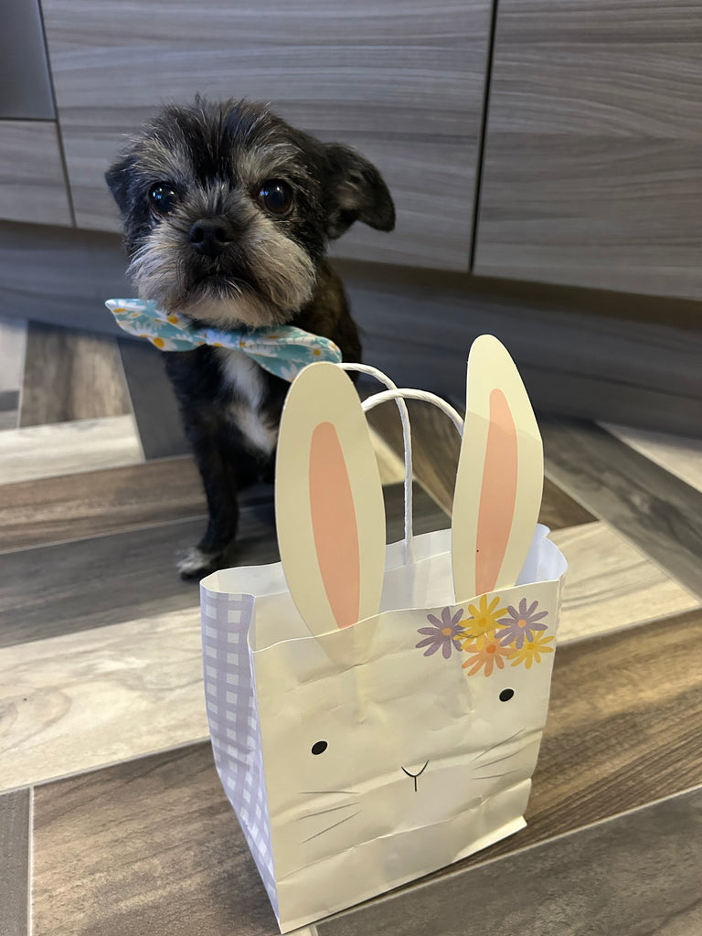 Wags & Whiskers Mini Easter Natural Treat Bag