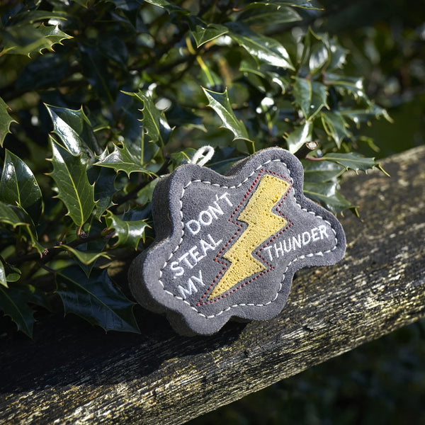 Green & Wilds Don't steal my Thunder, Eco Dog Toy