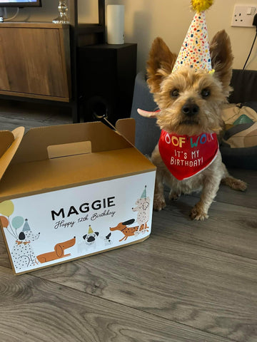Wags & Whiskers Personalised Birthday Box