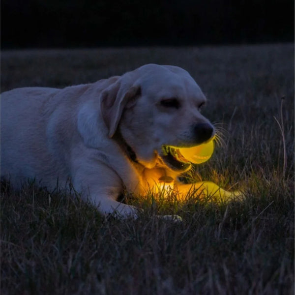 Ancol Rechargable LED Ball Yellow