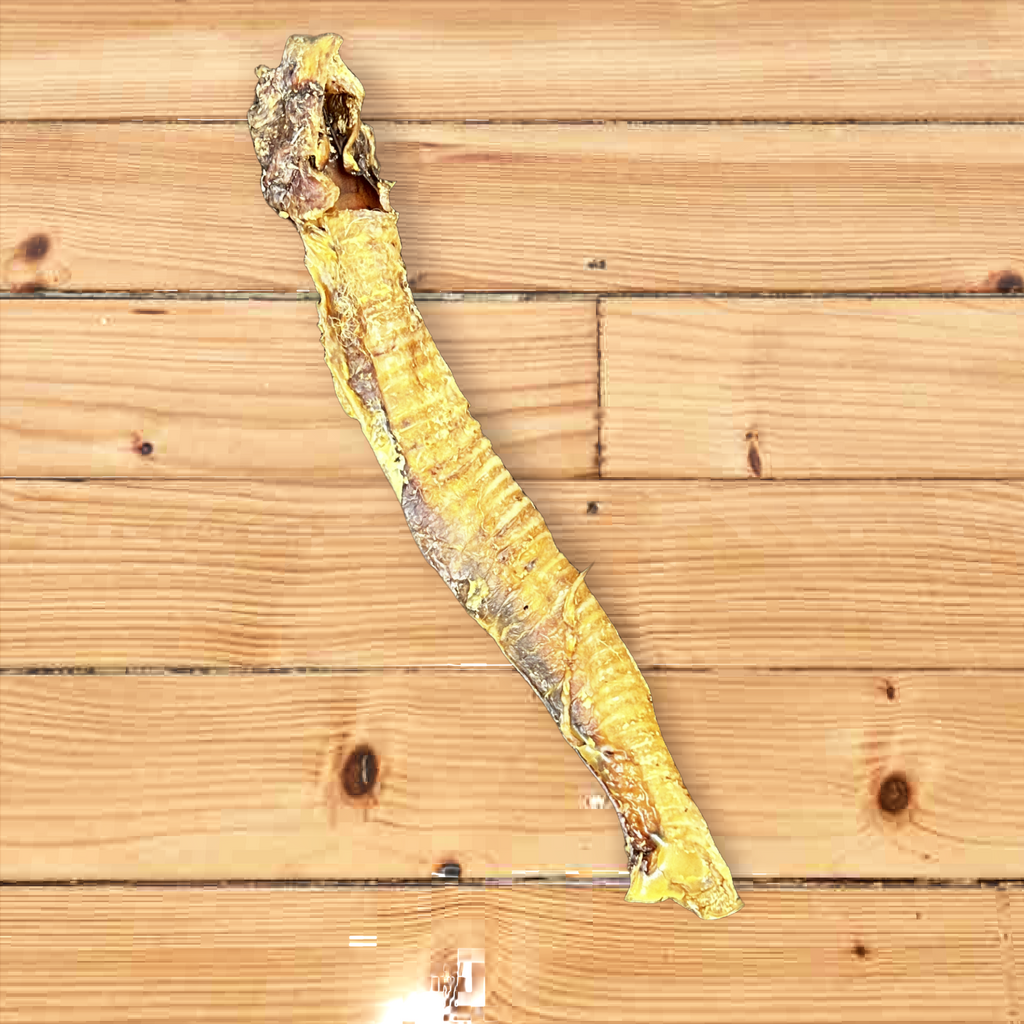 Lamb Trachea