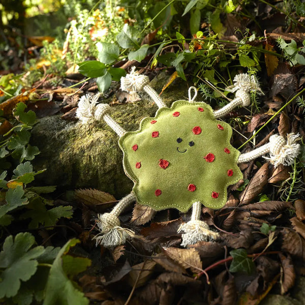 Green & Wilds Splodge, Eco Dog Toy