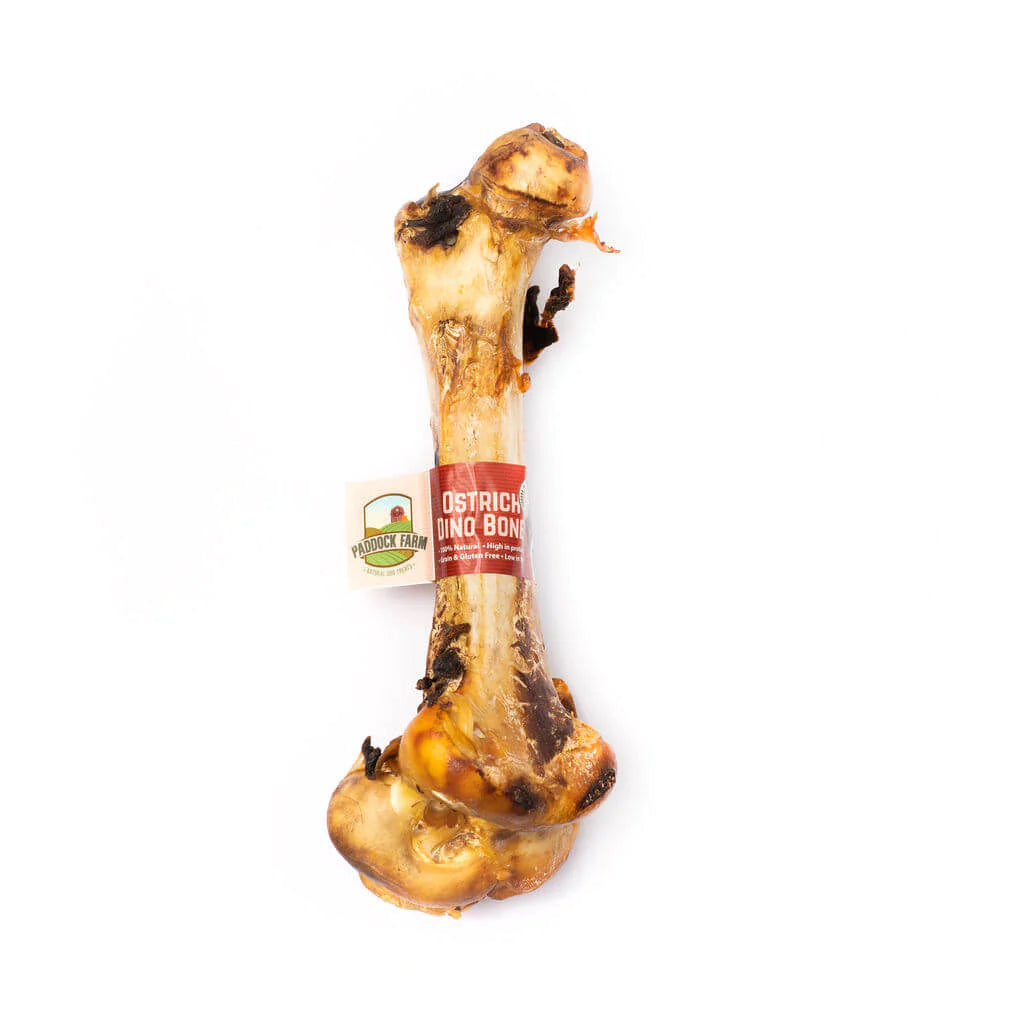 Nova Ostrich Dino Bone