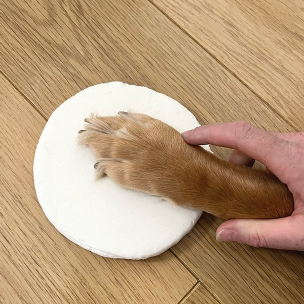 Oh So Precious Clay Pet Paw Print Impression Moulding Kit