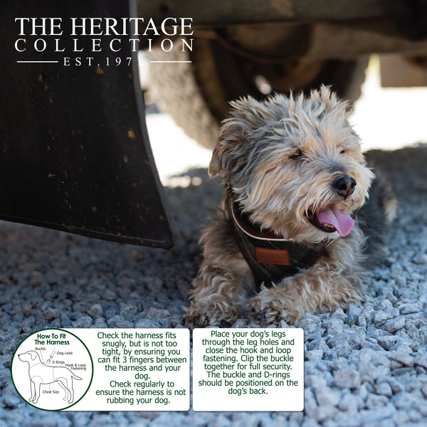 Ancol Herringbone Step in Harness