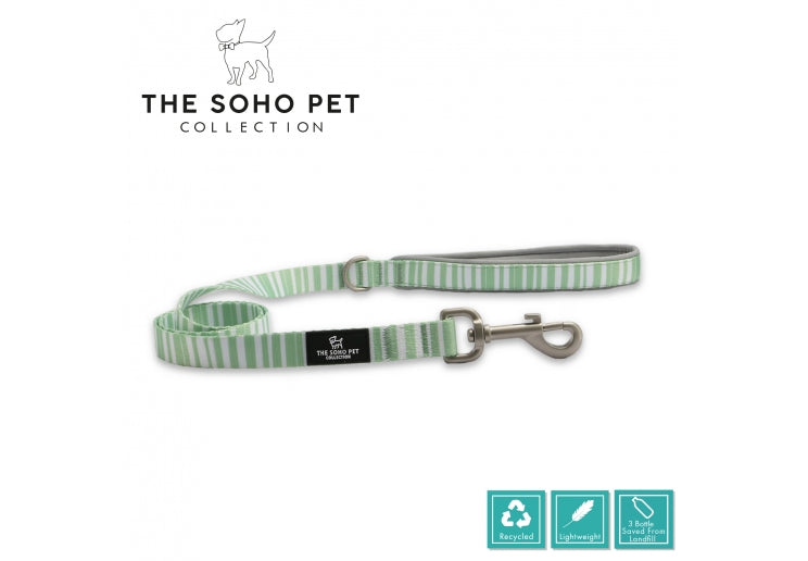 SOHO Pet Stripe Lead