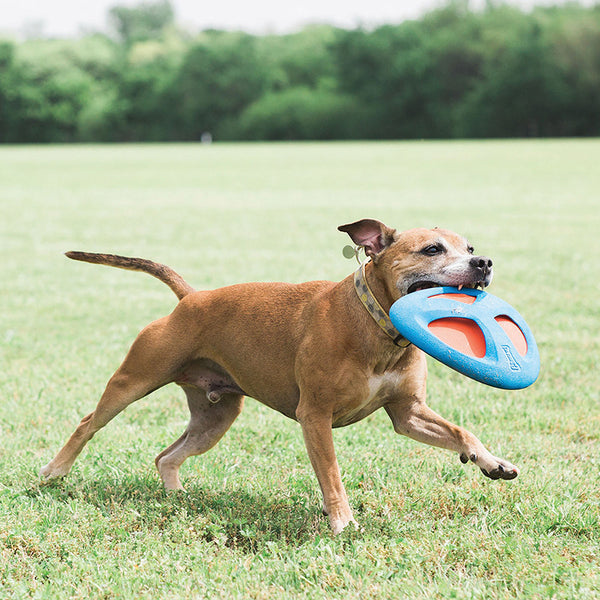 Chuckit Fetch Flight