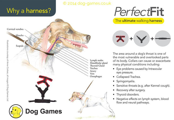 Perfect Fit Harness - Instore Exclusive