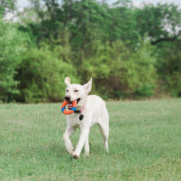 Chuckit Ultra Fetch Ring