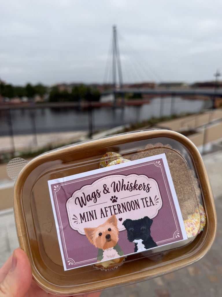Wags & Whiskers Mini Afternoon Tea Treat Box