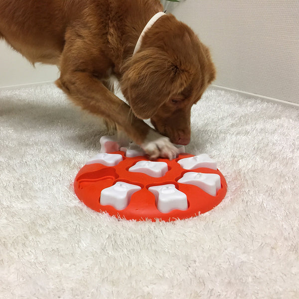Nina Ottosson Dog Smart Puzzle Game