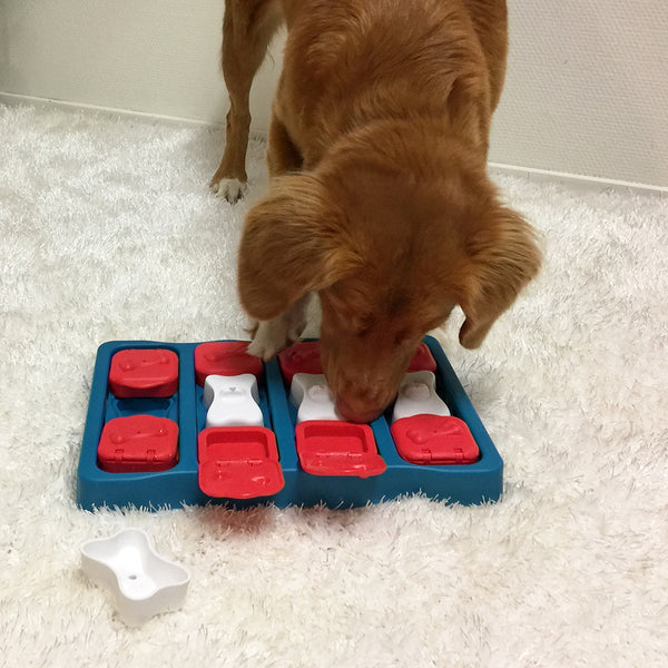 Nina Ottosson Dog Brick Puzzle Game