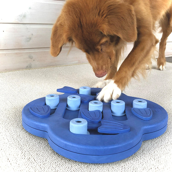 Nina Ottosson Dog Hide n' Slide Puzzle Game