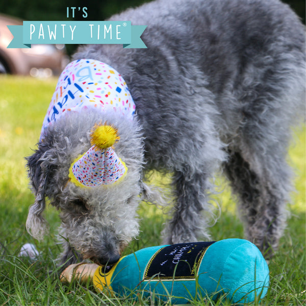 Ancol Pawty Champagne Toy