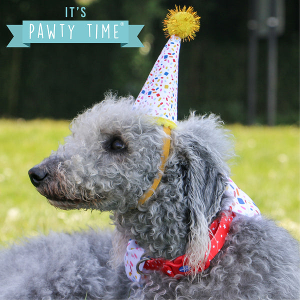 Ancol Pawty Sprinkle Hat & Bandana Set