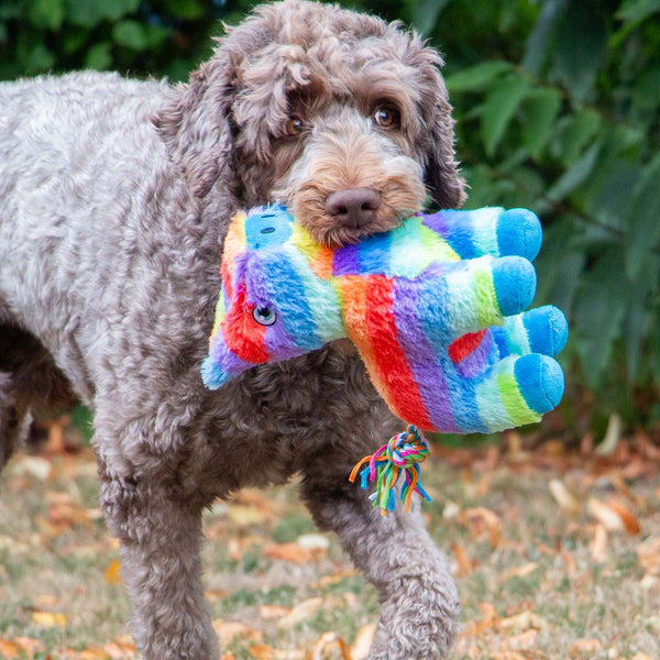 Ancol Pawty Piñata Toy