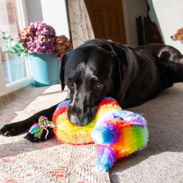 Ancol Pawty Piñata Toy