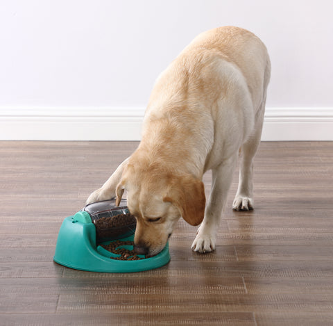 Nina Ottosson Dog Spin N' Eat Dog Puzzle & Feeder