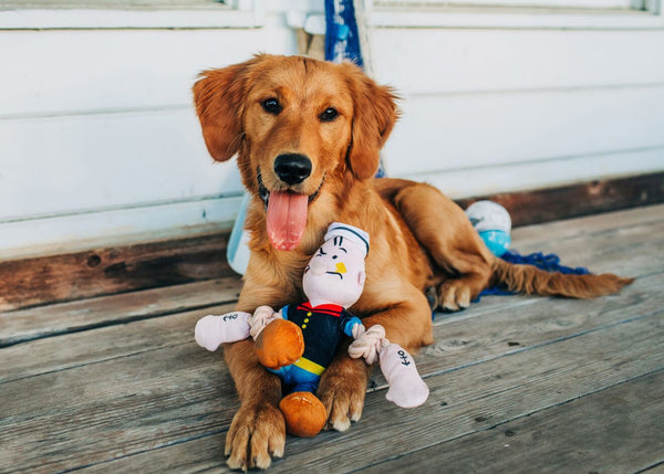 Multipet Popeye with Rope Arms Toy 12”