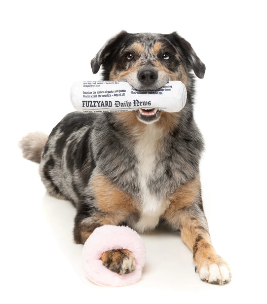 Fuzzyard Fetch My Slippers & Paper 2pk Dog Toy