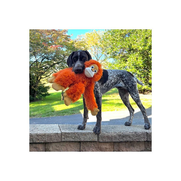 Tall Tails Orangutan Dog Toy