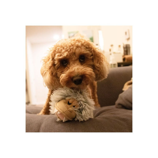 Tall Tails Dog 2 In 1 Yeti Head Dog Toy