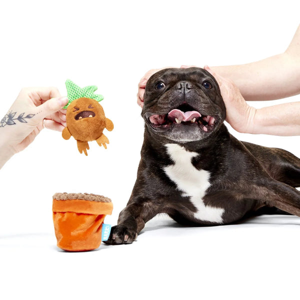 BARK - Mandrake™ Plush Tug + Multi-Part Dog Toy