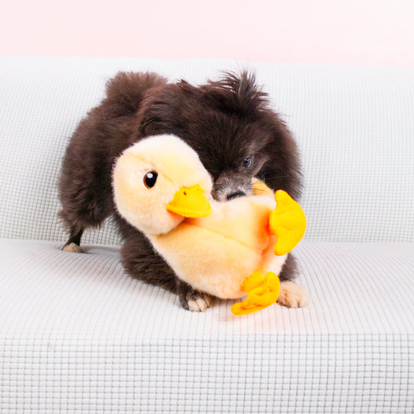 KONG Toughz Duck Toy