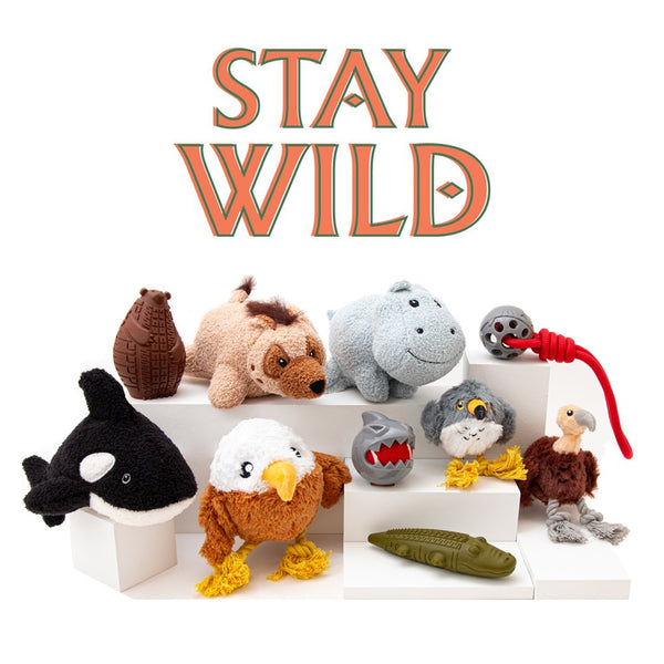 Great & Small Stay Wild Alligator Treat & Bounce Dog Toy