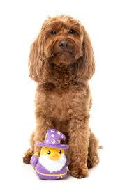 Fuzzyard Sirius Quack Dog Toy