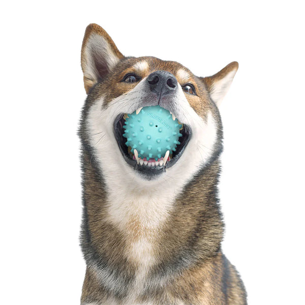 Playology Spiky Ball - Peanut Butter Scented
