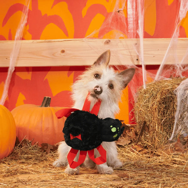 BARK Halloween Blake Widow Toy