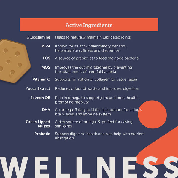 Nuri Vita Bites - Wellness